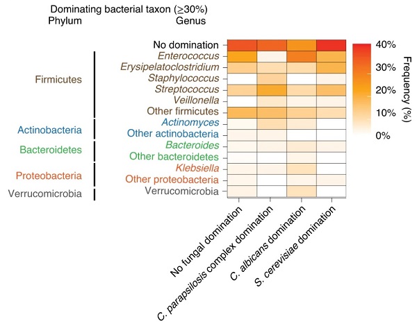 beat365在线体育app