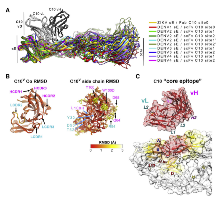 beat365在线体育app