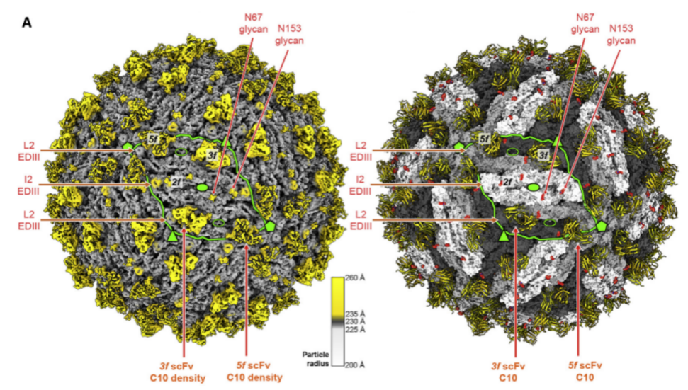 beat365在线体育app