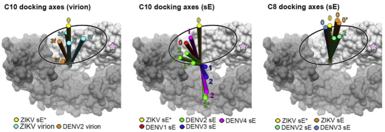 beat365在线体育app