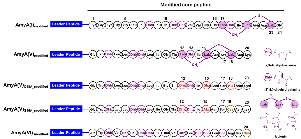 beat365在线体育app