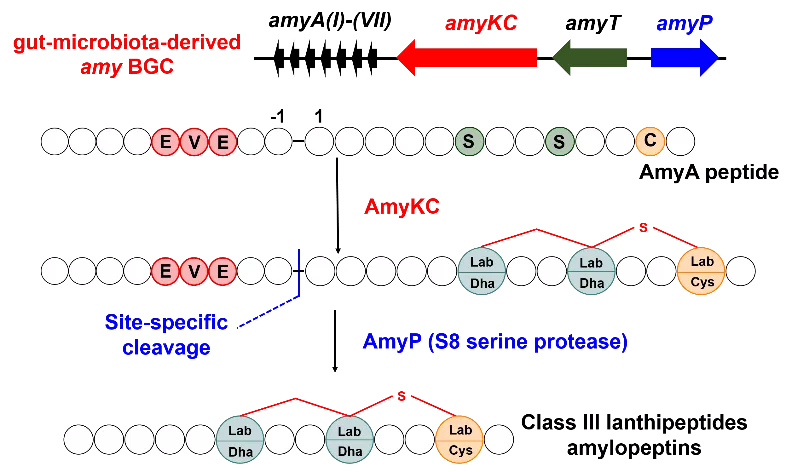 beat365在线体育app
