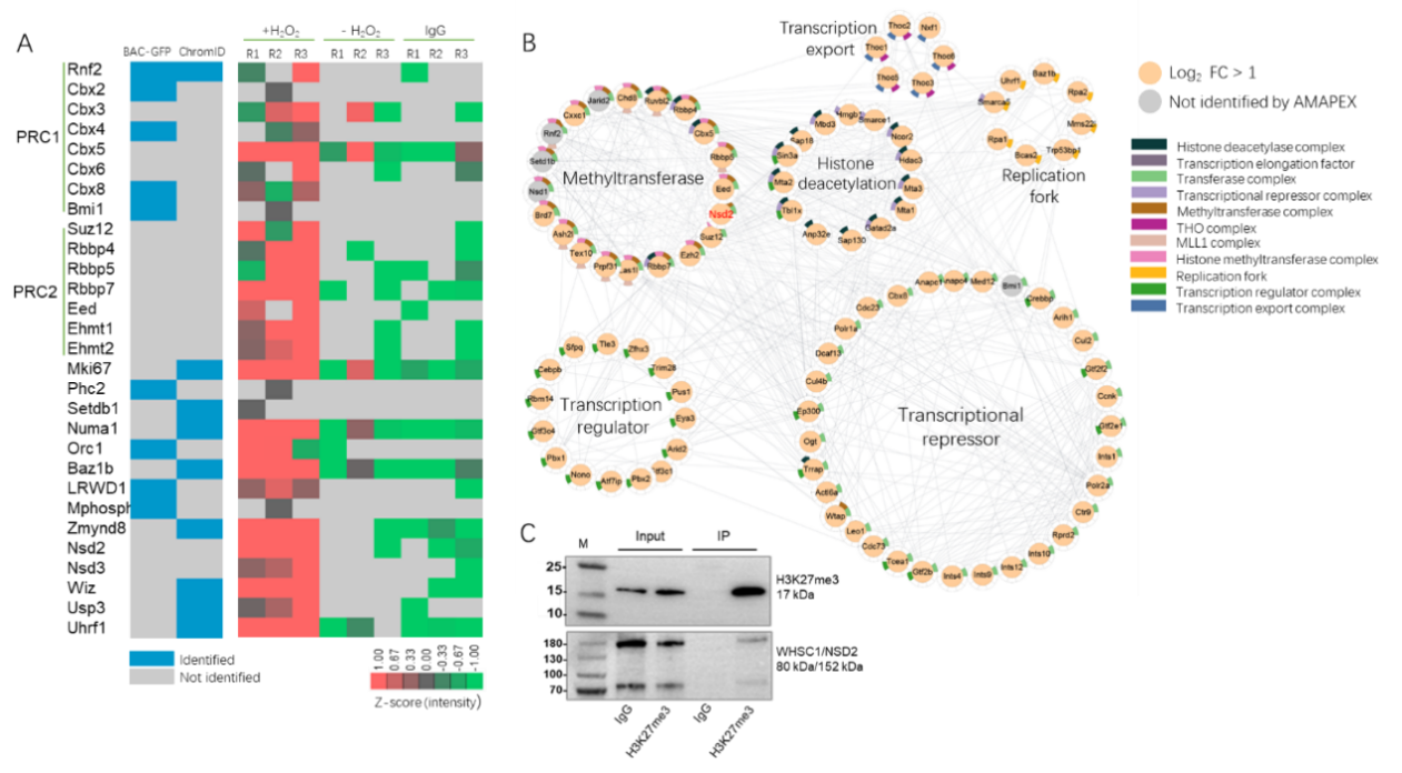 beat365在线体育app