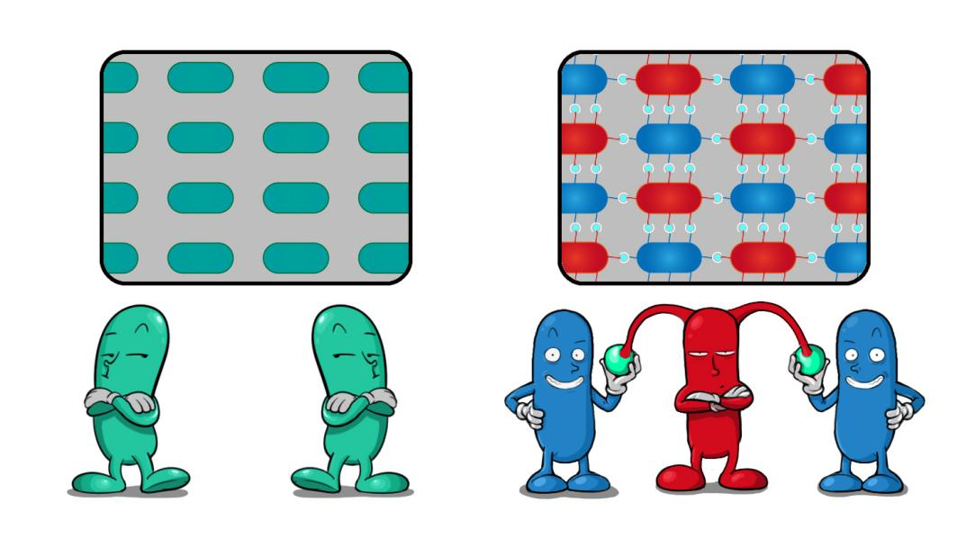 beat365在线体育app