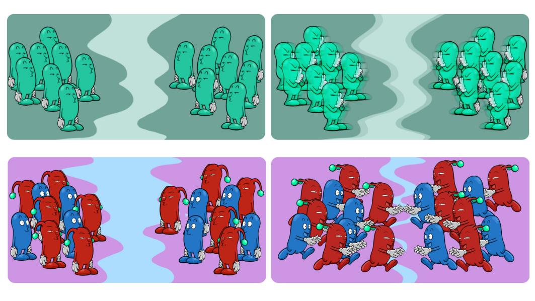 beat365在线体育app