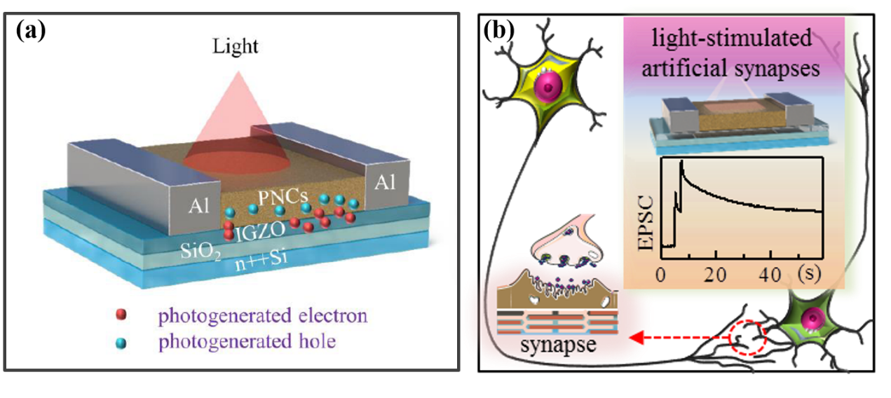 beat365在线体育app