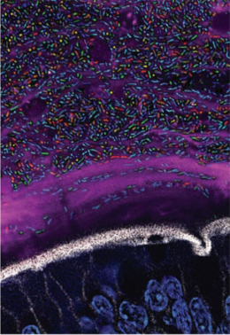 beat365在线体育app