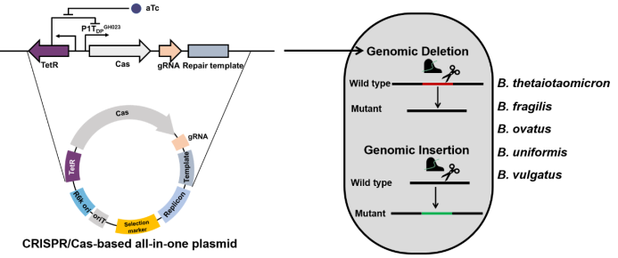 beat365在线体育app