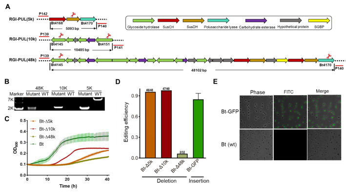 beat365在线体育app