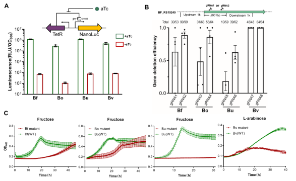 beat365在线体育app