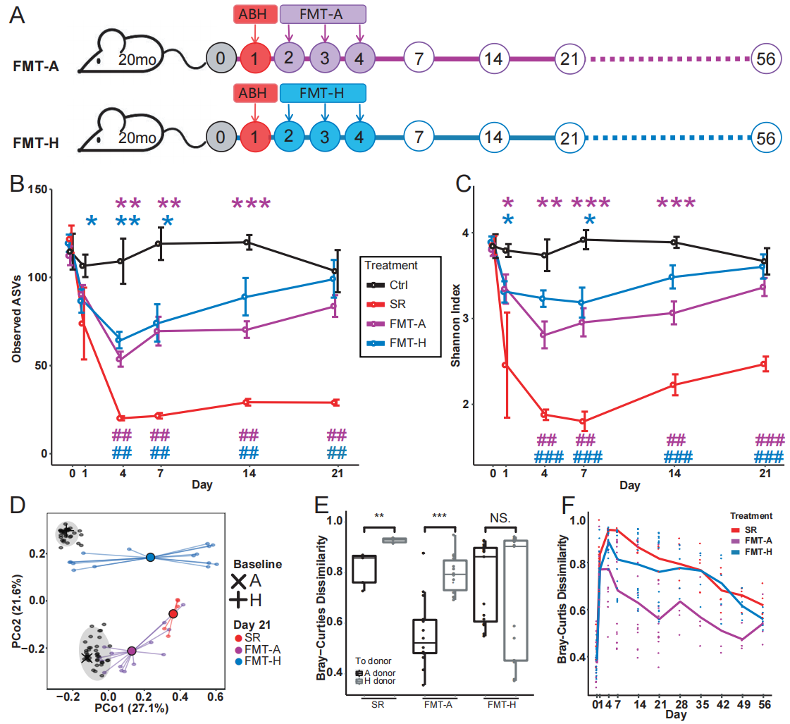 beat365在线体育app