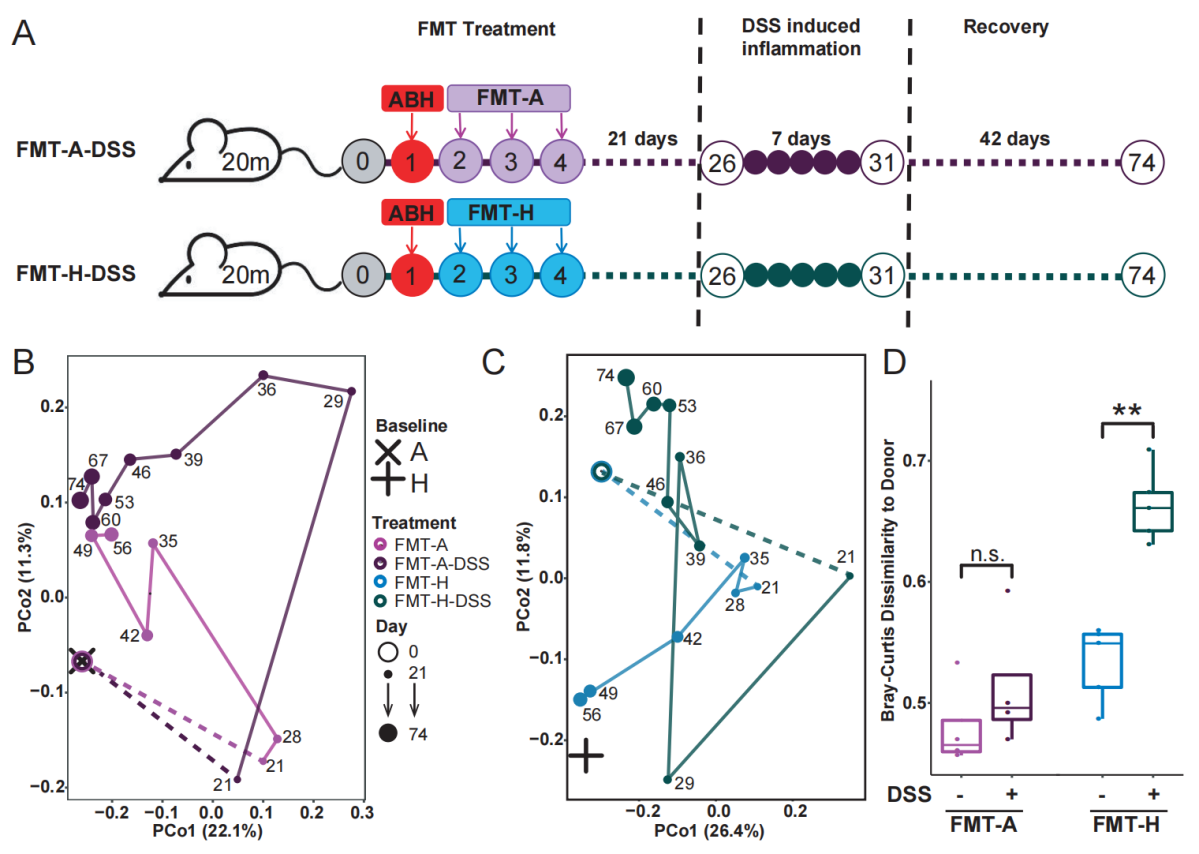 beat365在线体育app