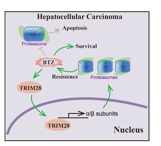 beat365在线体育app