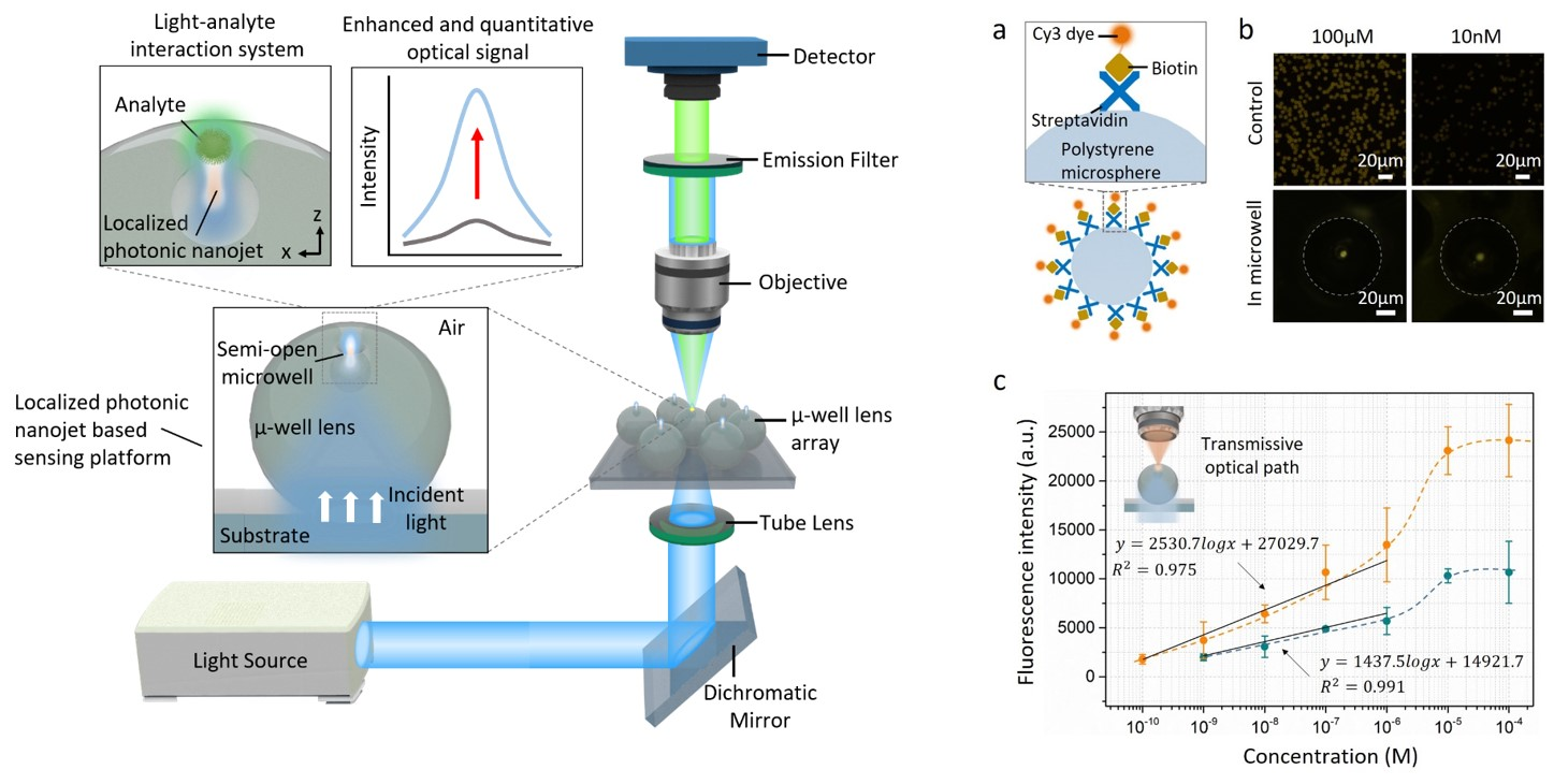 beat365在线体育app