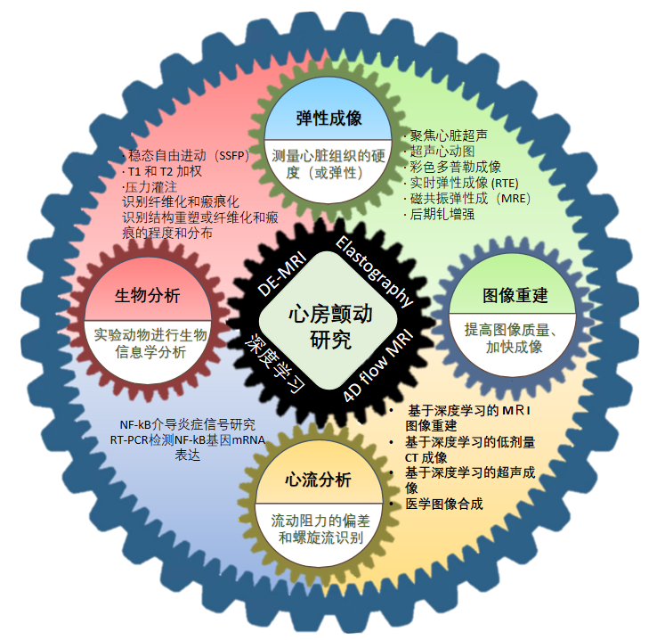 beat365在线体育app