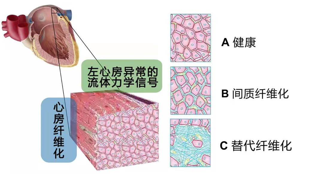 beat365在线体育app