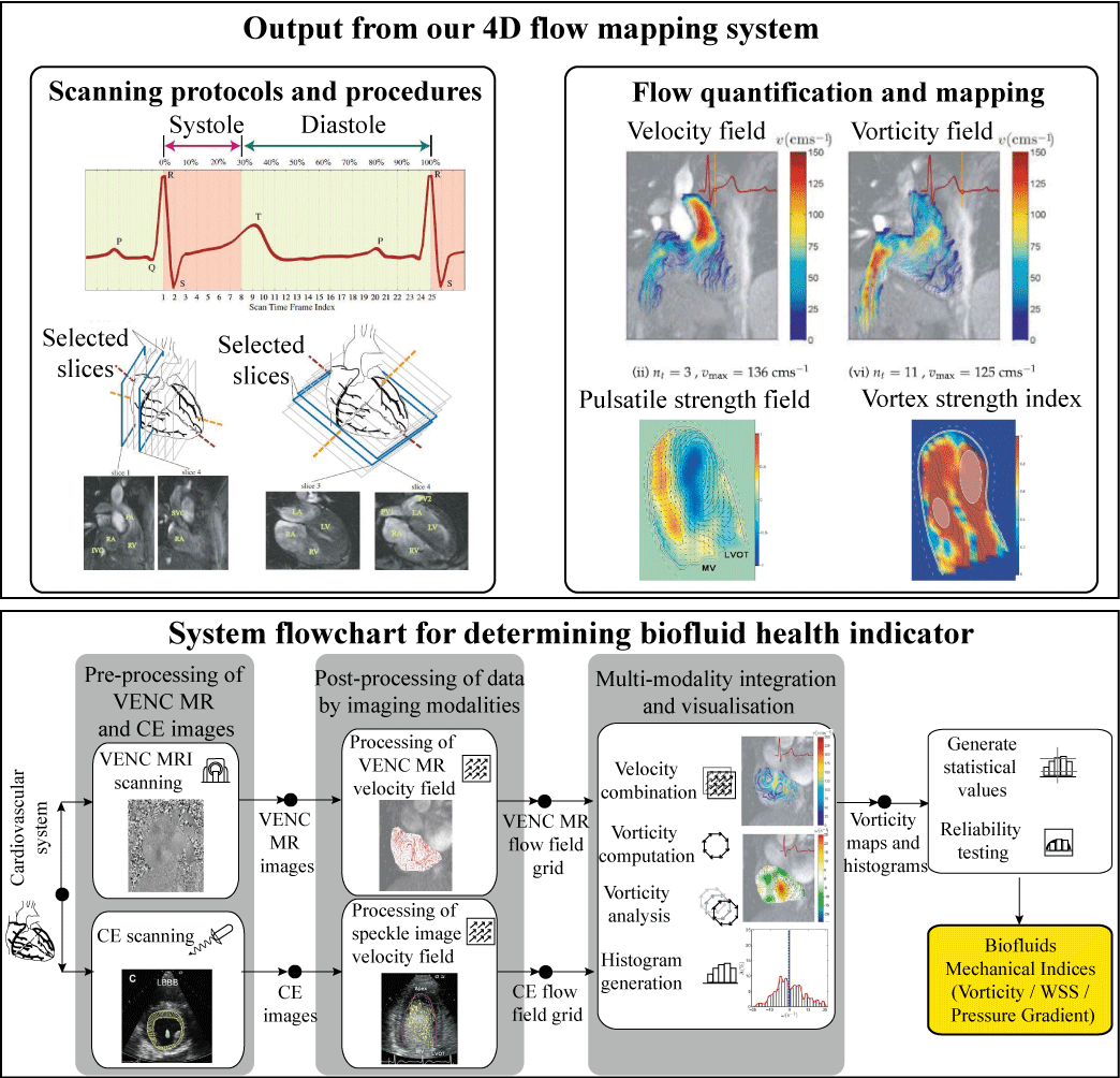 beat365在线体育app