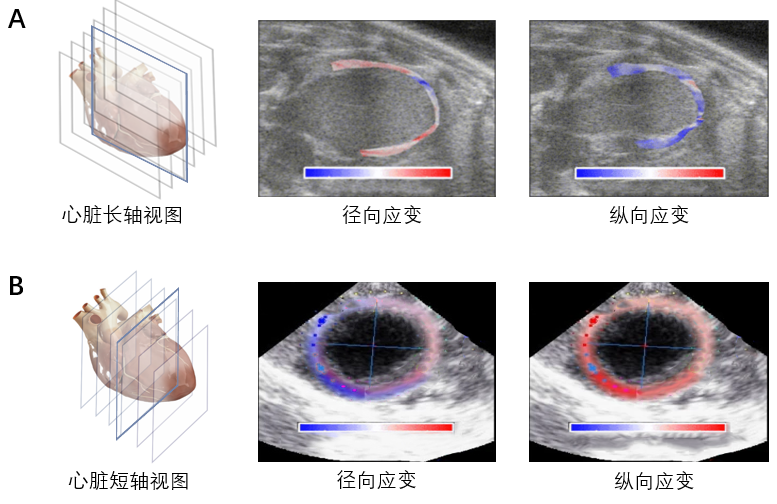 beat365在线体育app