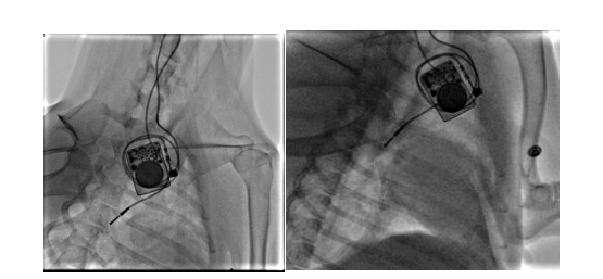 beat365在线体育app