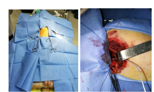 beat365在线体育app