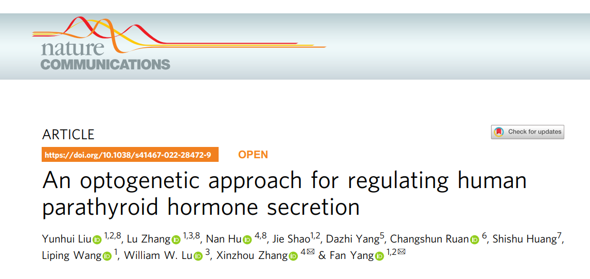 beat365在线体育app