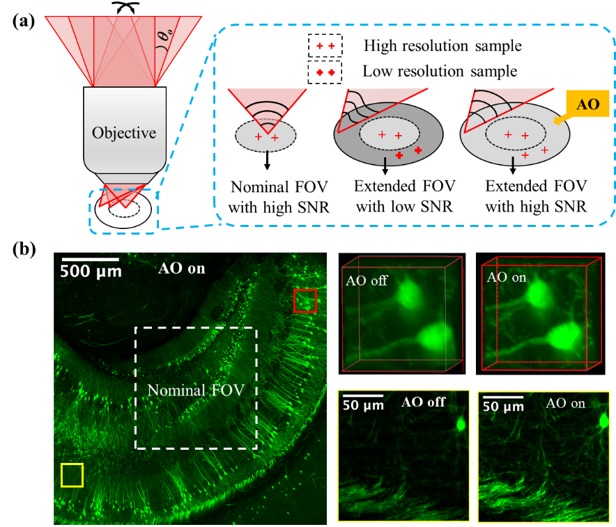 beat365在线体育app
