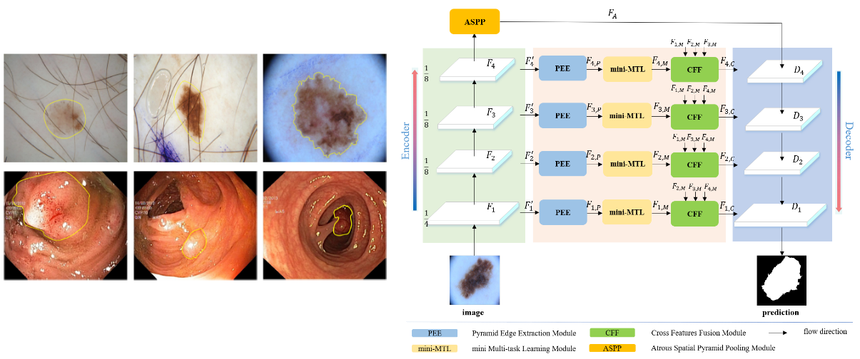 beat365在线体育app