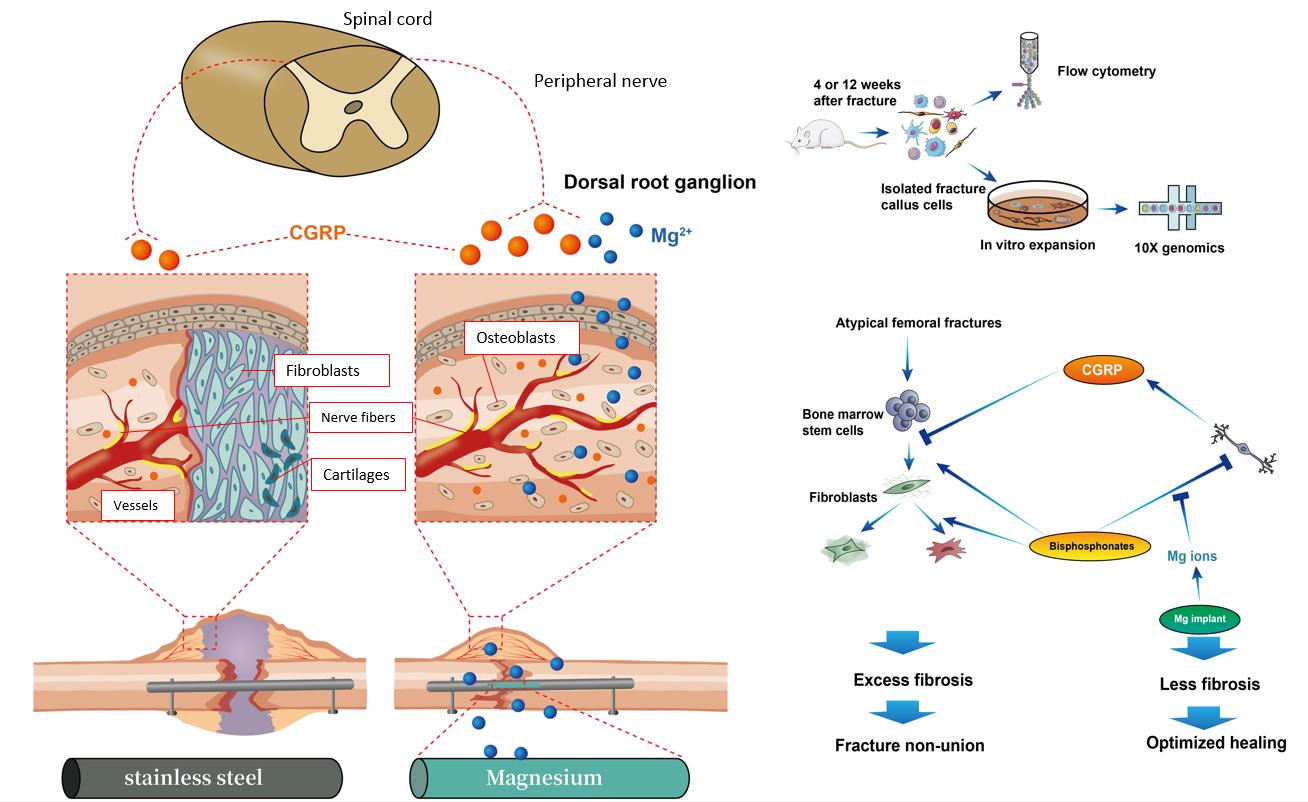 beat365在线体育app