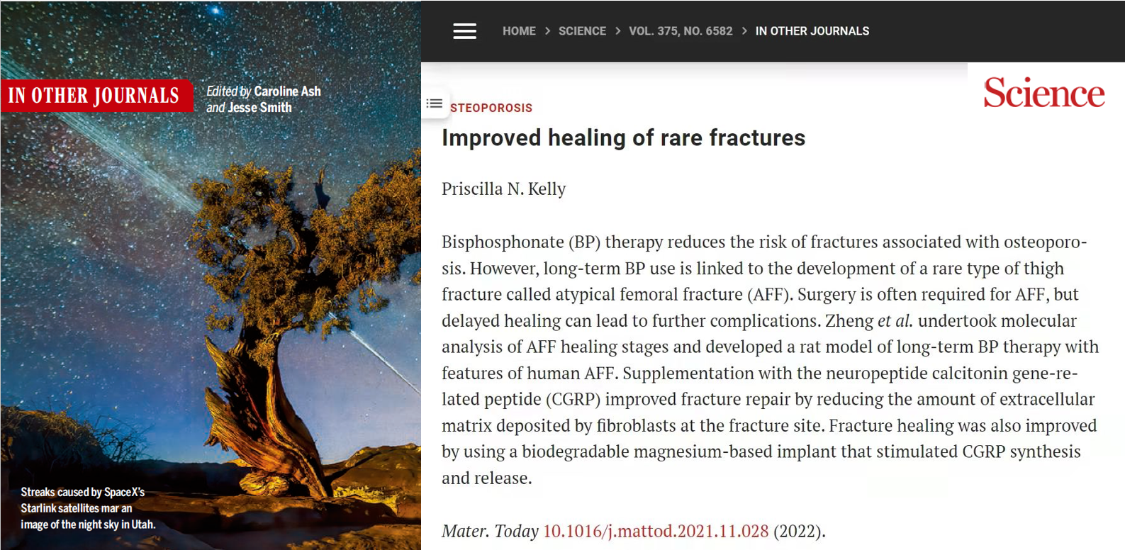 beat365在线体育app