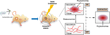 beat365在线体育app