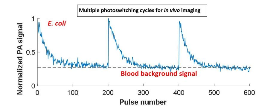 beat365在线体育app