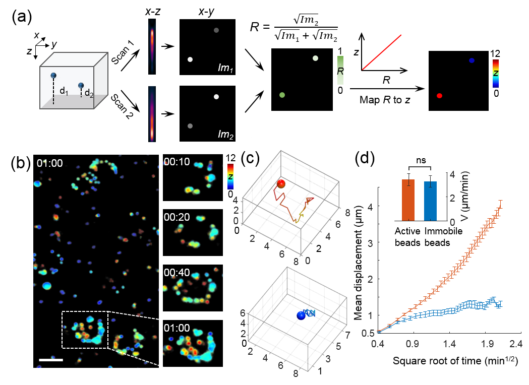 beat365在线体育app