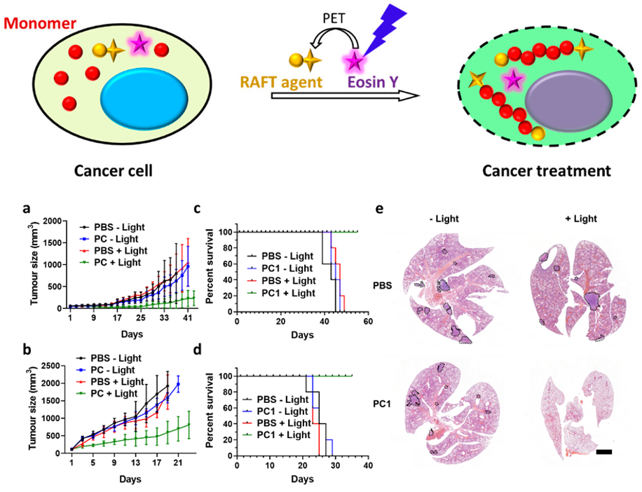 beat365在线体育app