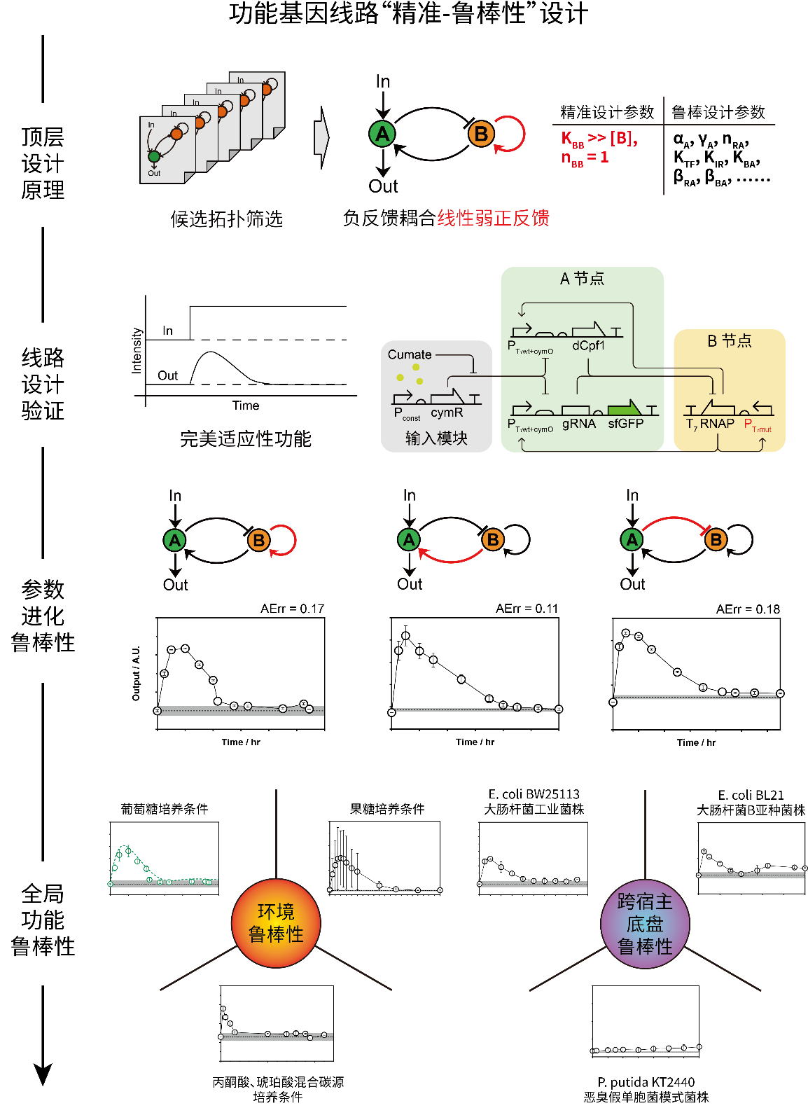 beat365在线体育app