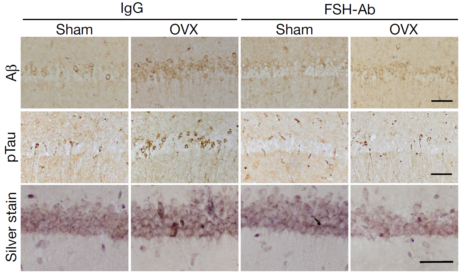 beat365在线体育app