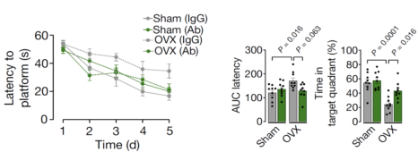 beat365在线体育app