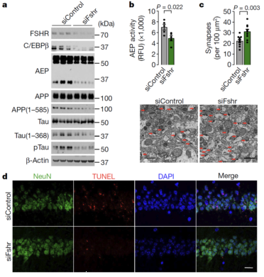 beat365在线体育app