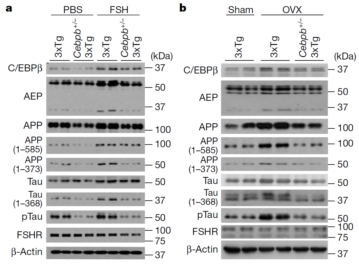 beat365在线体育app