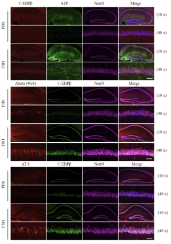 beat365在线体育app