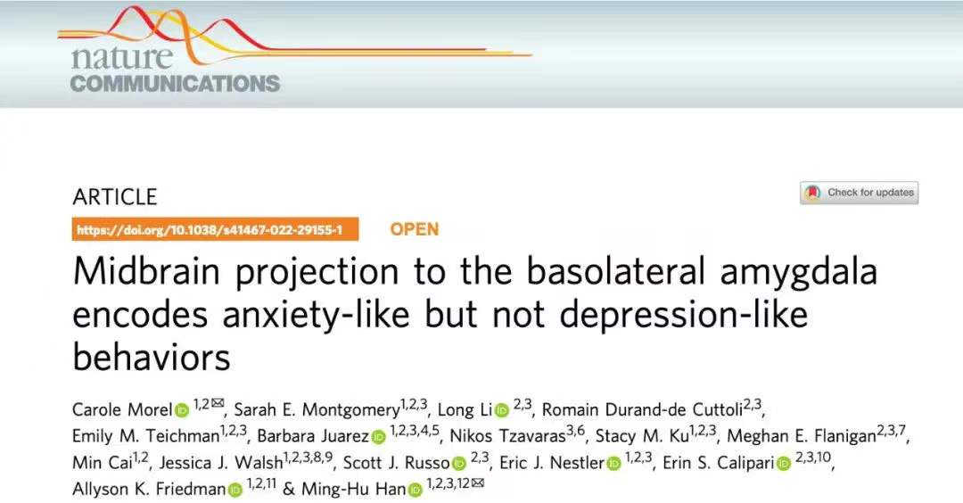 beat365在线体育app