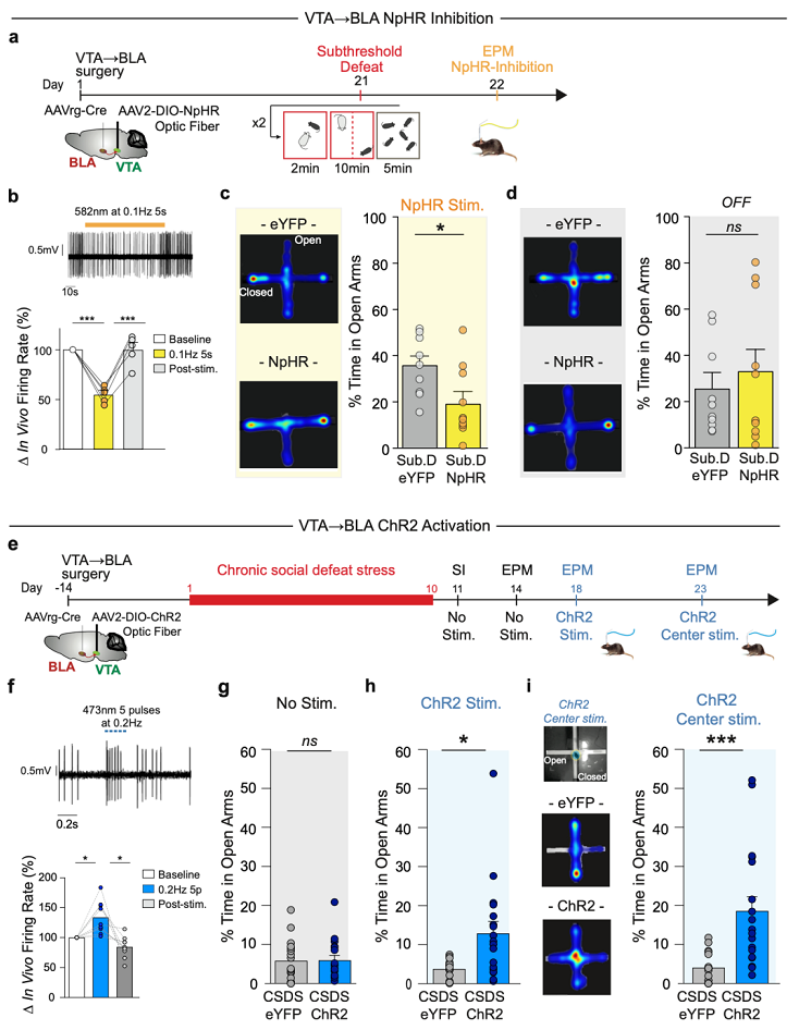 beat365在线体育app