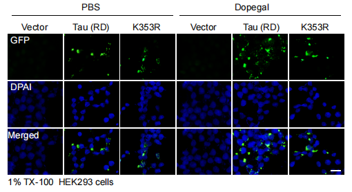 beat365在线体育app