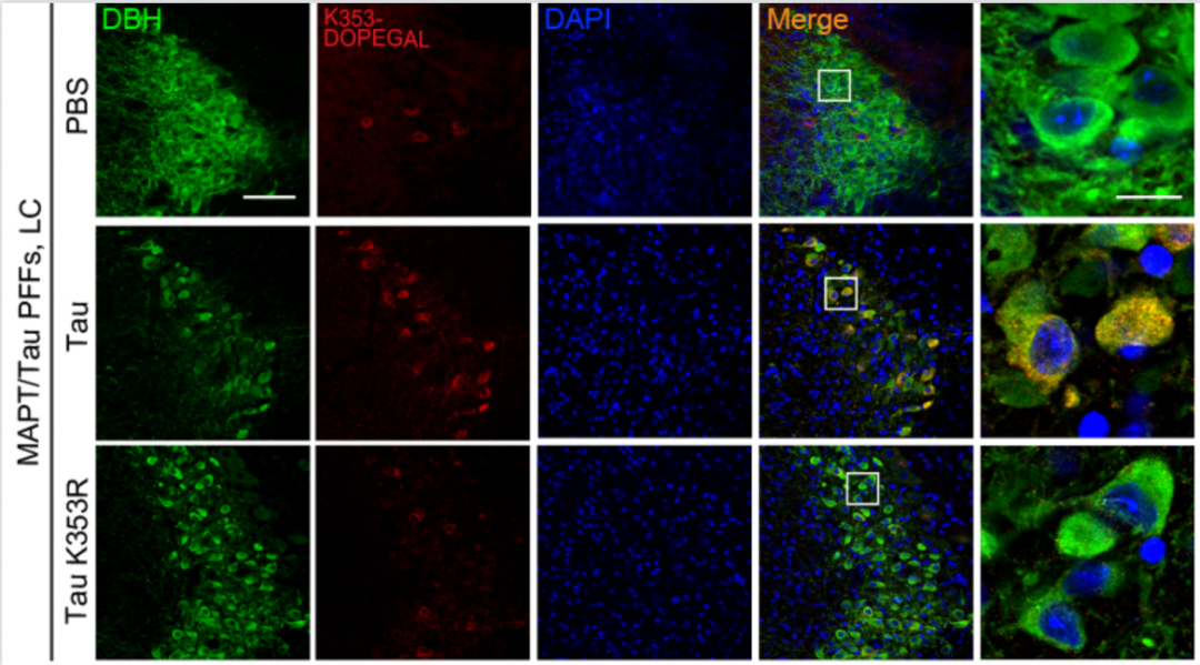 beat365在线体育app