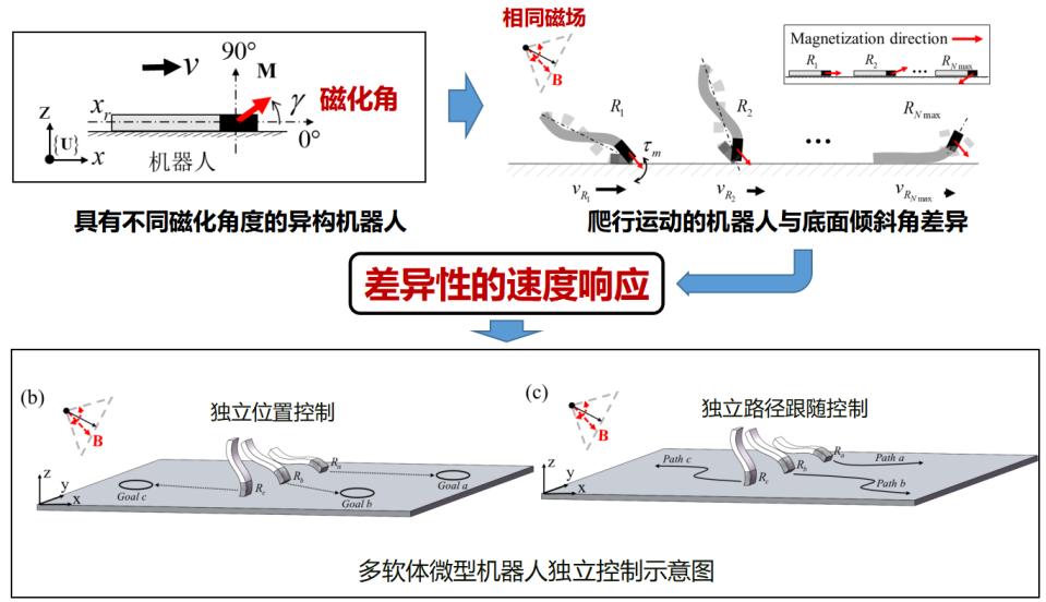 beat365在线体育app