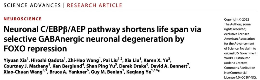 beat365在线体育app