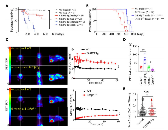 beat365在线体育app
