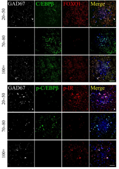 beat365在线体育app