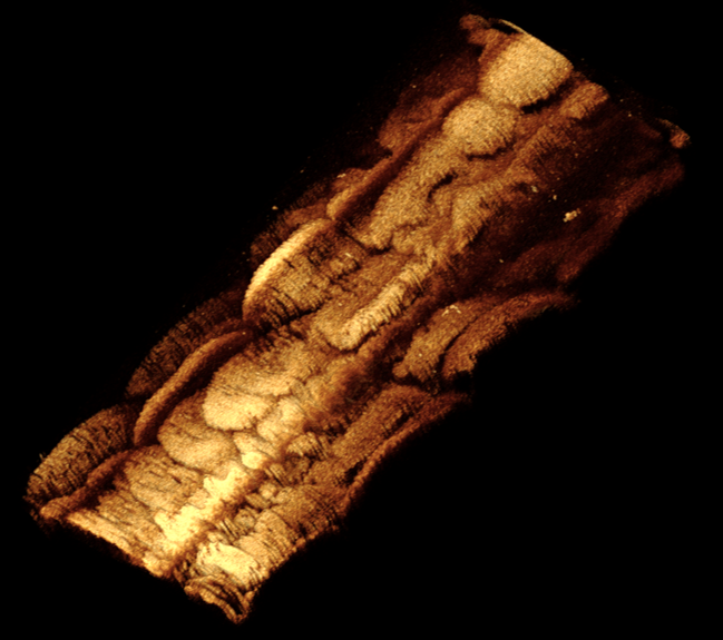 beat365在线体育app