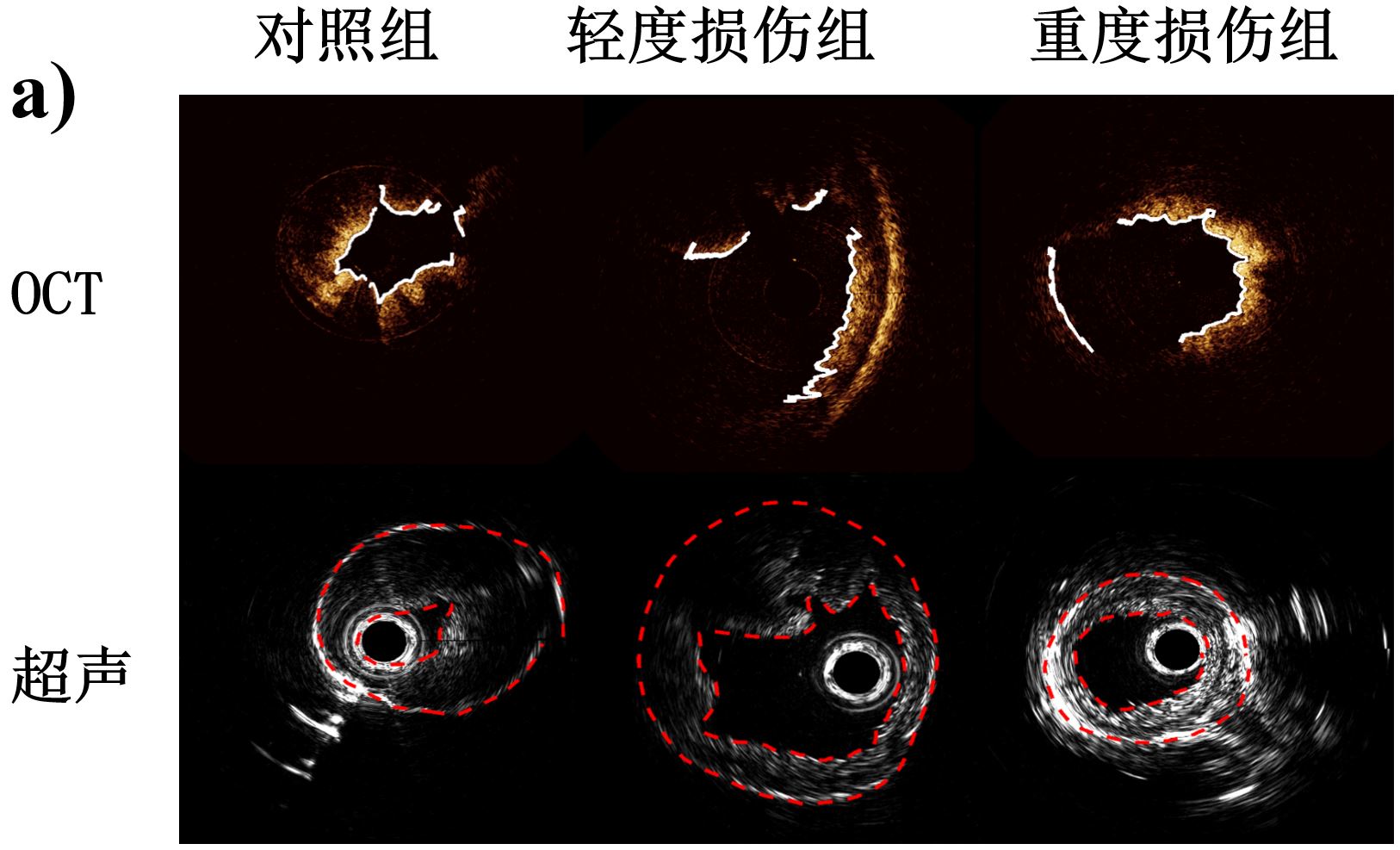 beat365在线体育app