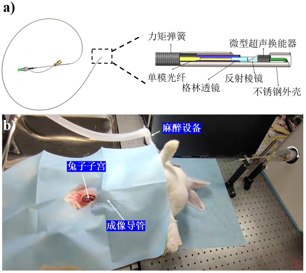 beat365在线体育app